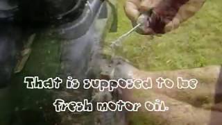 Honda Foremans oil turns white bc of water [upl. by Rooker822]