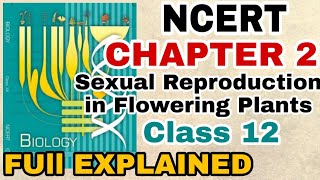 NCERT Ch2 Sexual Reproduction in Flowering plants class 12 Biology Full Explanation For BOARDSNEET [upl. by Adnohrahs]