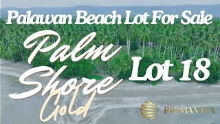 Palawan Beach lot for sale  PALM SHORE GOLD LOT 18 430 sqm [upl. by Niwde]