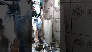 Bathroom Fitting Video  Plumbing work  Mondal Tech homewiring Plmbingworkytshorts [upl. by Tamanaha]