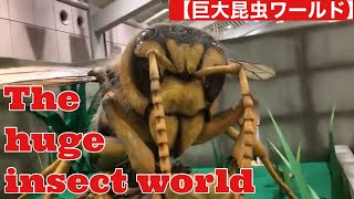 【The huge insect world 】巨大昆虫ワールド insects 昆虫 huge [upl. by Aileon]