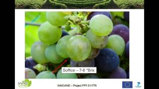 Webinar MODULAZIONE DELLA MATURAZIONE IN VITIS VINIFERA IL CONTRIBUTO DEL PROGETTO INNOVINE [upl. by Paapanen]