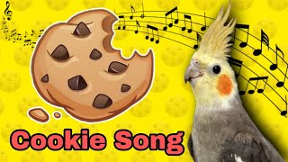 Cookie Song  จิงเจอร์ปุ๊ดๆ  Cookie Cookie  Cockatiel Training Sound  Cockatiel Training Songs [upl. by Wrdna817]