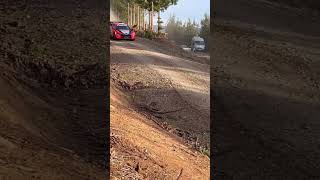 Ott TANAK ATTACK  🇨🇱 WRC Rally Chile BIOBÍO 2024 [upl. by Lyred]