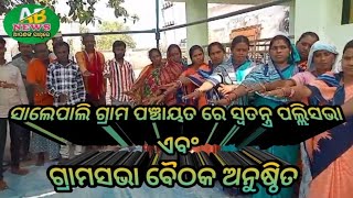 ସାଲେପାଲି ଗ୍ରାମ ପଞ୍ଚାୟତ ରେ ସ୍ୱତନ୍ତ୍ର ପଲ୍ଲିସଭା ଏବଂ ଗ୍ରାମସଭା ବୈଠକ ଅନୁଷ୍ଠିତ ABNEWS [upl. by Mcclelland]