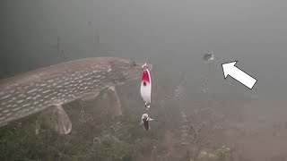 Ice Fishing NORTHERN PIKE with SUCKER Minnows [upl. by Padget]