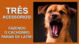 ☕ 3 ACESSÓRIOS Como Fazer o Cachorro Parar de Latir Parar de Chorar  Adestramento de Cães [upl. by Leonardi]