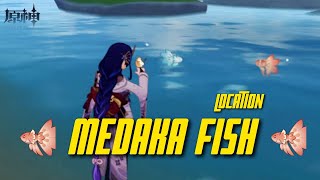 Medaka fish location  Genshin impact [upl. by Jessi]