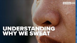 Understanding why we sweat [upl. by Cawley]