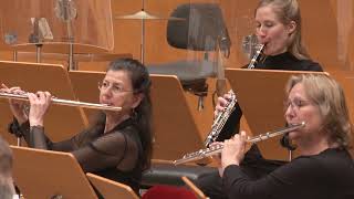 Ben Goldscheider  Watkins Horn Concerto [upl. by Yeliak]