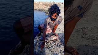 Young Man Using Big Fish to Catch Variety Fishes fishing fishingvideos thoondilulagam seafishing [upl. by Vala]