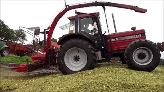 Case IH 1455 XL Maishäckseln macht Spass  Sound [upl. by Omland]