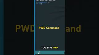 How to Use PWD Command  Linux Terminal Tutorial  Cybersecurity Essentials  Kali Linux [upl. by Aun]