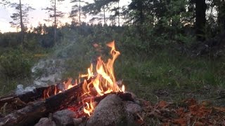 BUSHCRAFT  FAST BREAKFAST in the WOODS with the Bushbox XL [upl. by Nainatrad448]