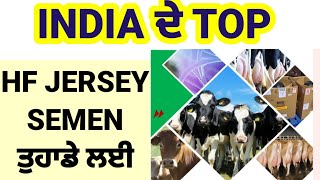 🇮🇳 INDIA de BEST HF te Jersey bulls list CRI [upl. by Eidoow]