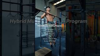 🔥Try this Hybrid Program Calisthenics  Weights [upl. by Enyrat954]