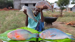 LARGE  Big Size PARROT FISH Finger Prepared by My Daddy ARUMUGAM  Village food factory [upl. by Nilatak]