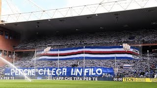 Nuovo coro Sampdoria La maglia blucerchiata è bella da morire 💙🤍❤️🖤🤍💙 [upl. by Howie]