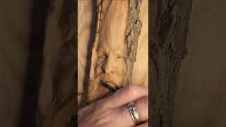 Wood Spirit carving in cottonwood bark Long form instructional video coming soon [upl. by Kara-Lynn]