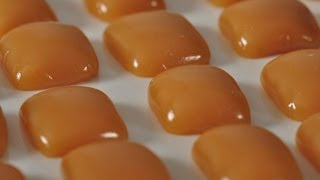 Caramels Recipe Demonstration  Joyofbakingcom [upl. by Nerita568]