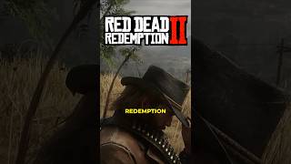 Top Incredible Details in RDR2 [upl. by Onateag]