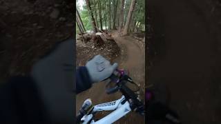 Worlds best Mountain Bike corners mountainbiking mtb whistler [upl. by Lajes]