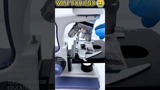 प्याज को माइक्रोस्कोप में देखा 🤮🔬 shortfeed trendingshorts facts microfacts microscope [upl. by Akkahs]