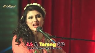 Der Zorawar Dey Janan  Nazia Iqbal Pashto Song  Pushto Hit Song [upl. by Kegan603]