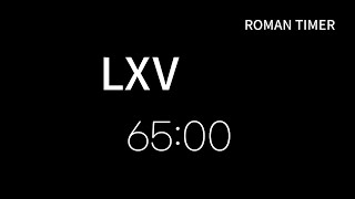 Roman 65 Minute Timer  Roman LXV [upl. by Loutitia]