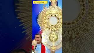 Powerful Deliverance song by Fr Dominic Valanmanal  At Anakkara 2022  krupabhishekam frdominic [upl. by Radloff864]