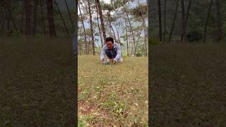 The melon rolled down the hill shorts bushcraft outdoor survival viralvideo forest camping [upl. by Arrim]