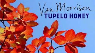 Van Morrison  Tupelo Honey [upl. by Pearlstein]