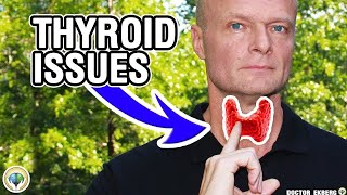 Thyroid Issues Explained [upl. by Neirod]