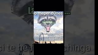 Corrígeme si no es asi🗿👀⭐️ codmobile callofdutymobile codmobile gaming [upl. by Macrae]