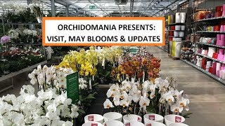 Orchidomania Presents Visit May Blooms and Updates [upl. by Ashleigh]