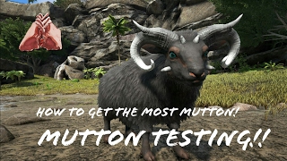 HOW TO FARM MUTTON  OVIS  BEST WAY TO GET MUTTON  ARK SURVIVAL EVOLVED  XBOX ONE PS4 PC ARK [upl. by Ennairek]