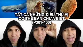 TẤT CẢ Những Điều Thú Vị Có Thể Bạn Chưa Biết Phần 301400 [upl. by Akiehs192]