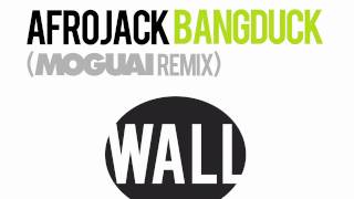 AFROJACK  Bangduck Moguai remix [upl. by Aitram]