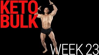 🔥KETO BULK SERIES  Week 23 [upl. by Harihat]