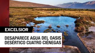 El agua desaparece del oasis desértico Cuatro Ciénegas Coahuila [upl. by Gnoc931]