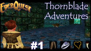 This Loot Is Broken  EverQuest Adventures 1 [upl. by Dinnage215]