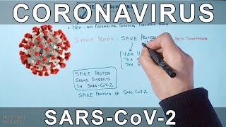 Coronavirus  SARS CoV2 [upl. by Adnael675]