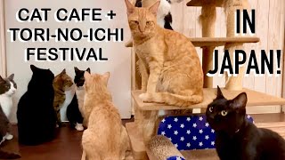 CAT CAFE amp FOOD FESTIVAL IN JAPAN  TorinoIchi Festival and Cat Cafe in Tokyo 🐱 [upl. by Remoh]