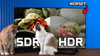 Is HDR Worse  HDR vs SDR On Monitors amp TVs [upl. by Coulter]