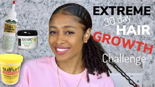 EXTREME HAIR GROWTH CHALLENGE  SULFUR 8 amp DOO GRO MIXTURE [upl. by Aynosal]