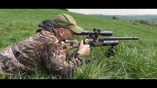 FX King 22 FAC Long Range Pigeon Close Range Ratting [upl. by Utica]