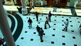 quotSeasons of Lovequot Flash Mob  The Galleria Mall [upl. by Dazhehs]