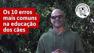 Os 10 erros mais comuns na educação dos cães [upl. by Heimer636]