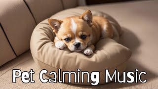 Calm Your Dog Pet During Fireworks  Deep Relaxation Music for Separation Anxiety Relief [upl. by Prudi524]