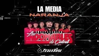 Indomables De Cedral  La Media Naranja HUAPANGOS EDITADOS 2K24 TEXASSOSA [upl. by Clauddetta]